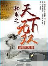 秘术之天下无双