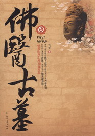 佛医古墓在线阅读