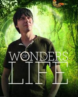 生命的奇迹在线阅读