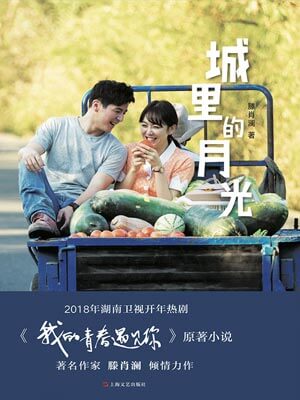 城里的月光（我的青春遇见你）在线阅读