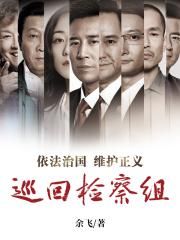 巡回检察组在线阅读